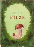 pilze---pilat